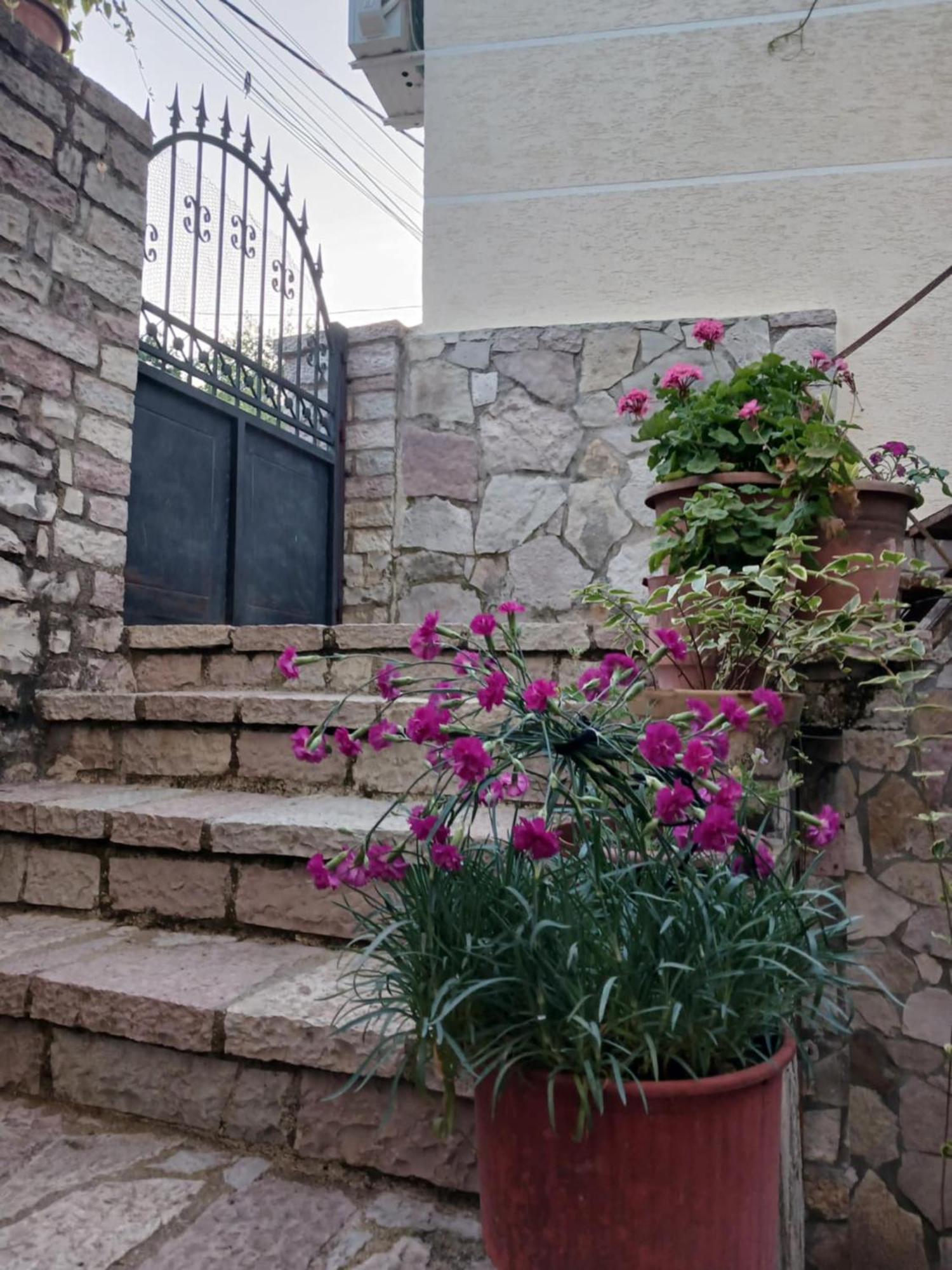 Eniguesthouse Gjirokastër 外观 照片